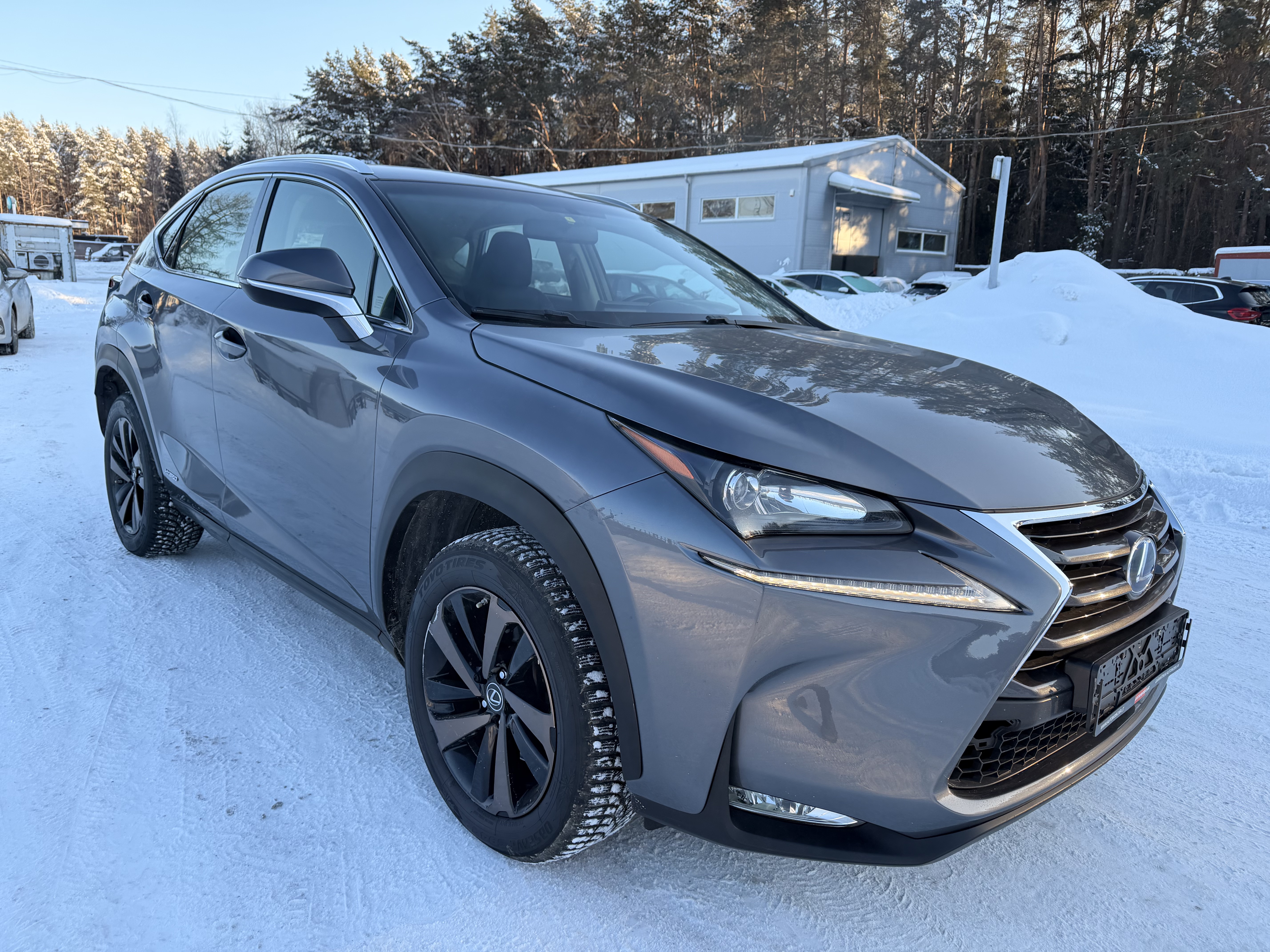 Lexus NX 300h